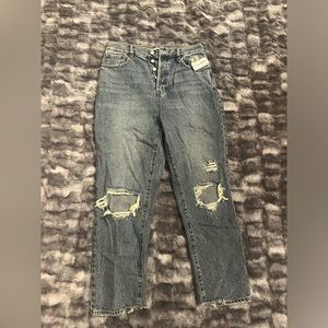 Pacsun high waisted straight leg mom jeans